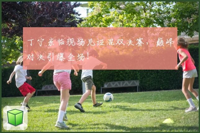 丁宁亲临现场见证混双决赛，巅峰对决引爆全场！