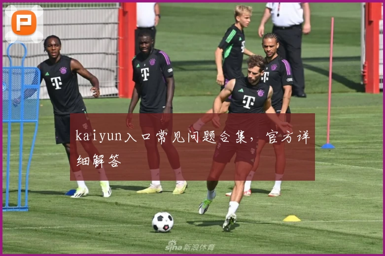 kaiyun入口常见问题合集，官方详细解答