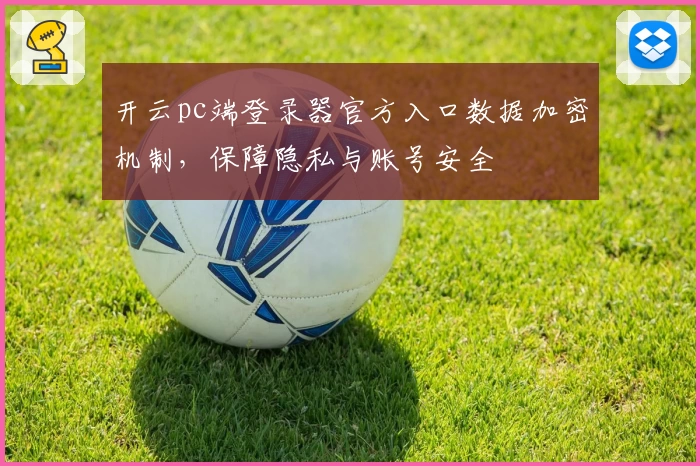 开云pc端登录器官方入口数据加密机制，保障隐私与账号安全